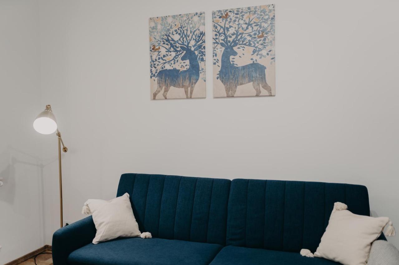 Apartamentul Albastru Ватра-Дорней Экстерьер фото