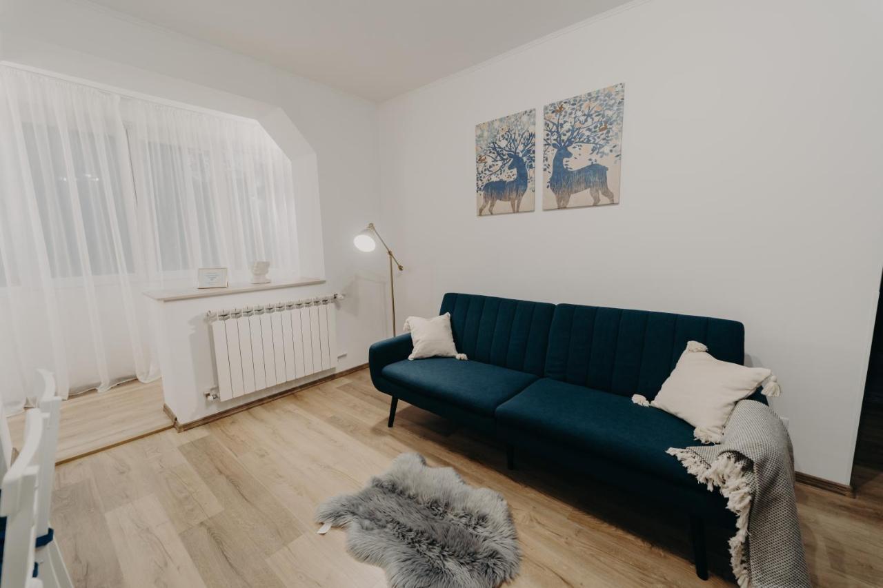 Apartamentul Albastru Ватра-Дорней Экстерьер фото