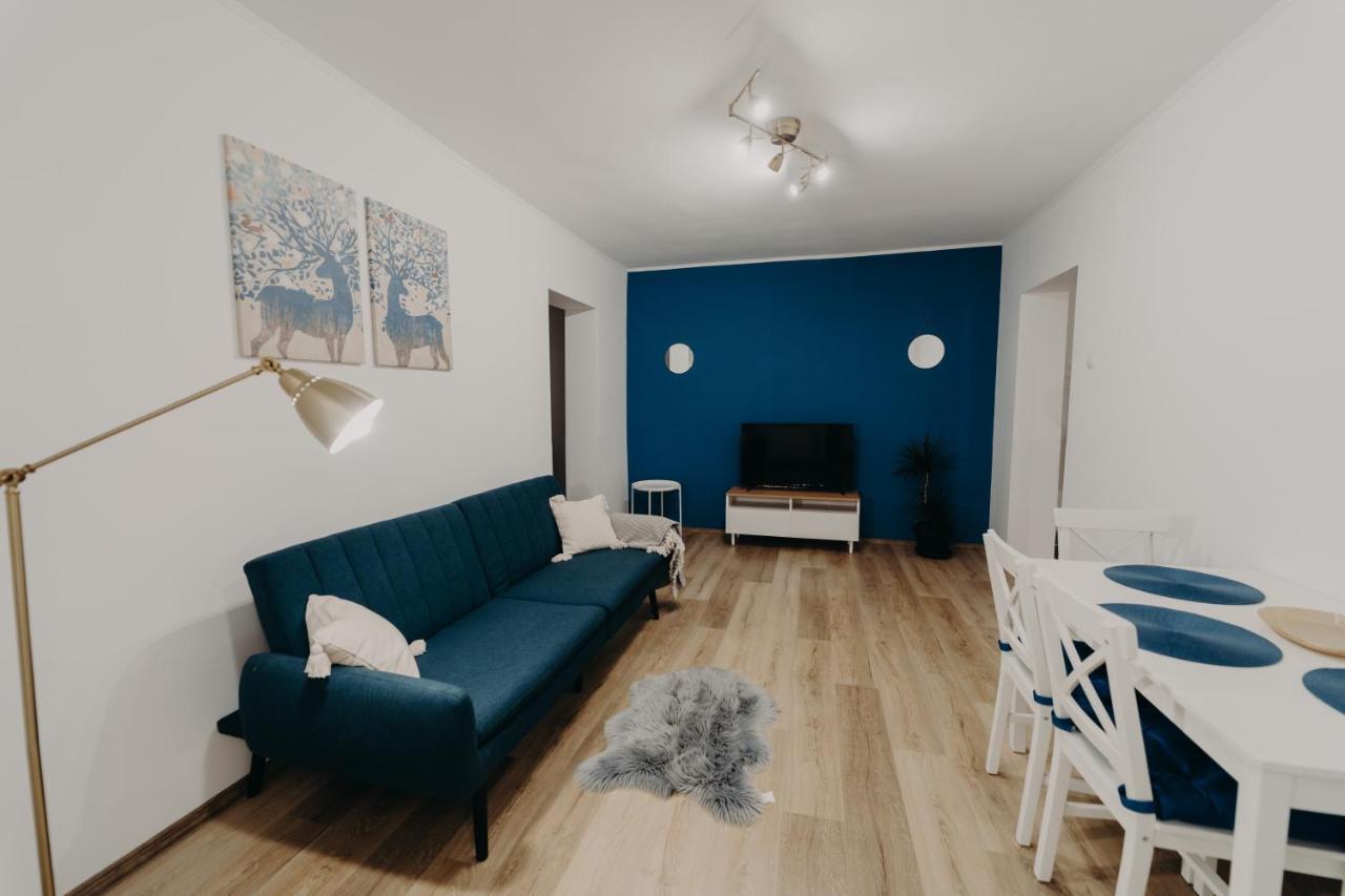 Apartamentul Albastru Ватра-Дорней Экстерьер фото