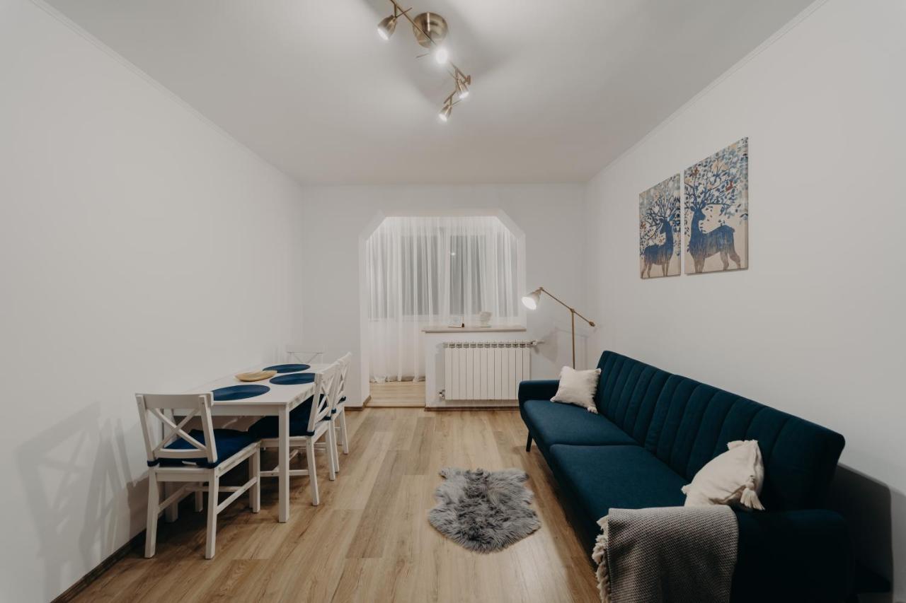 Apartamentul Albastru Ватра-Дорней Экстерьер фото